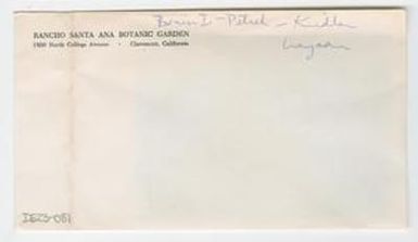 [Petrel in Hawaii, envelope IE23-081]