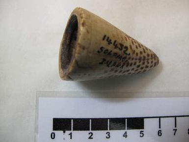 pipe