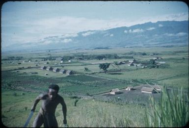 Banz : Waghi Valley, Papua New Guinea, 1954 / Terence and Margaret Spencer
