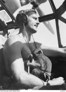 LABUAN, NORTH BORNEO. C. 1945-08-15. HOW THE WAR ENDED AT RAAF'S MOST WESTERLY BASE IN THE SOUTH WEST PACIFIC AREA. 212170 FLIGHT LIEUTENANT WALLY MILLS DFC, PAPATOETOE, NZ, FAMED CATALINA PILOT OF ..