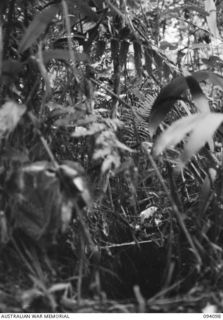 SANANANDA TRAIL, NEW GUINEA, 1945-06-28. A JAPANESE FOX HOLE IN THE VICINITY OF THE AREA OCCUPIED BY THE JAPANESE