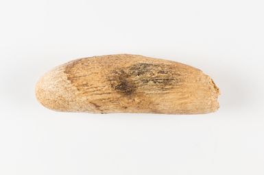 Tabua