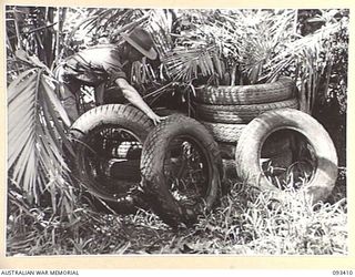 WEWAK AREA, NEW GUINEA. 1945-06-27. AMONGST JAPANESE EQUIPMENT THAT WAS FOUND IN THE AREA OF BIG ROAD, WERE A NUMBER OF NEW CAR AND TRUCK TYRES. DRIVER D. COOMBS, HEADQUARTERS 6 DIVISION IS SHOWN ..