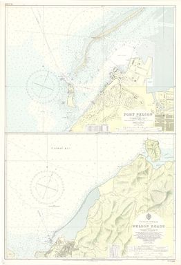 [New Zealand hydrographic charts]: New Zealand. South Island. Nelson Roads. (Sheet 6142)