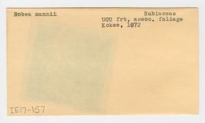 [Bobea mannii in Hawaii, envelope IE17-157] BRIT-A-AR003