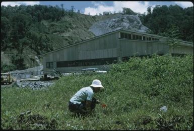 Looking for anopheline mosquito larvae (3) : Bougainville Island, Papua New Guinea, March 1971 / Terence and Margaret Spencer