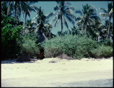 Beachcomber Island, Fiji, 1974