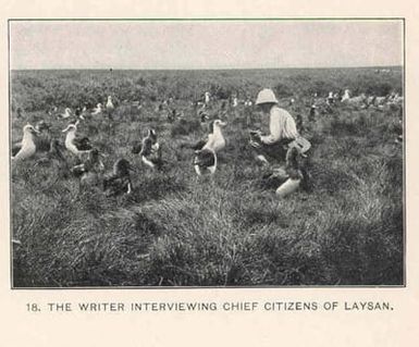 Writer interviewing chief citizen of Laysan