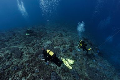 Scientific divers collect specimens on top of Banc 'Lorne, New Caledonia during the 2017 South West Pacific Expedition.