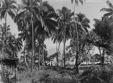 [Pacific Island view with dwellings]