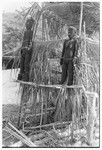 Fernwood 'ea figures sculpted by Arimae of Furi'ilae, 1979, on speaking platform on the occasion of the opening of the Kwaio Cultural Centre