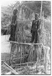 Fernwood 'ea figures sculpted by Arimae of Furi'ilae, 1979, on speaking platform on the occasion of the opening of the Kwaio Cultural Centre