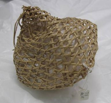 fish trap, model
