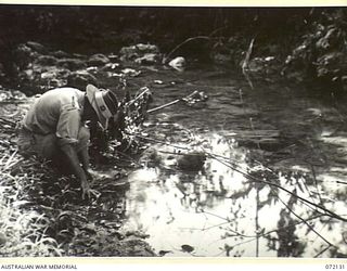 FINSCHHAFEN AREA, NEW GUINEA. 1944-04-09. VX102759 CAPTAIN I.C. MACDONALD, MALARIOLOGIST 2ND AUSTRALIAN CORPS EXAMINING MALARIA LARVAE BREEDING AT THE EDGE OF CREEK WITH A SANDY BOTTOM. THE AREA IS ..