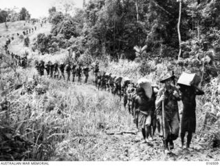 NEW GUINEA. RAMU VALLEY, FINISTERRE RANGE. 2 FEBRUARY 1944. SUPPLIES FOR AUSTRALIAN TROOPS COME FORWARD IN THE ORGORUNA AREA, WHERE AUSTRALIAN TROOPS THIS WEEK ADVANCED SEVERAL MILES ALONG THE ..