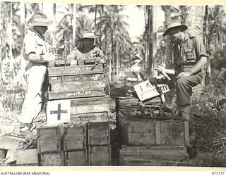 PALMALMAL PLANTATION, NEW BRITAIN. 1944-11-24. OFFICERS OF THE 17TH ADVANCED AMMUNITION DEPOT INSPECTING JAPANESE AMMUNITION ABANDONED IN THE AREA. IDENTIFIED PERSONNEL ARE:- VX133035 CAPTAIN B.J. ..