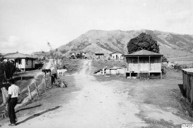 village, settlement, cattle, house, photography, ph