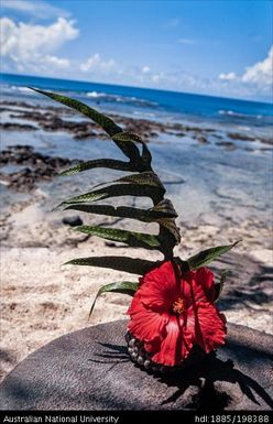 Wallis and Futuna - red hibiscus