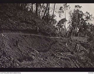 BULLDOG-WAU ROAD, NEW GUINEA, 1943-07-16. ROAD TO BANNON'S LOOKOUT. THE FRAME OF A DESERTED NATIVE HUT CAN BE SEEN AT RIGHT CENTRE