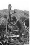 Man working in garden