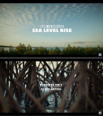 How to Survive Sea Level Rise, With Annmary