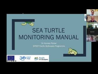 Sea turtle monitoring manual launch - Webinar