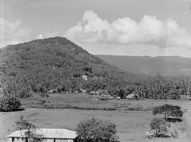 [High angle view of Pacific Island settlement]