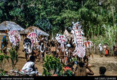 Kotuni - sing-sing at village