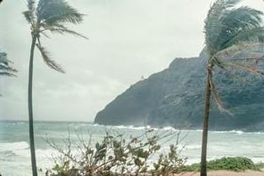 [Makapuu Beach at Oahu]