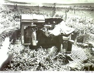 NEW BRITAIN, 1945-09. REAR VIEW OF A JAPANESE TWIN BARRELLED GUN IN THE RABAUL AREA. (RNZAF OFFICIAL PHOTOGRAPH.)