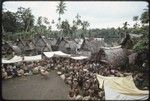 Mortuary ceremony: large crowd of women gathered for ritual exchange of banana leaf bundles and long fiber skirts