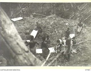 BOUGAINVILLE ISLAND, NEW BRITAIN. 1944-12-30. NATIVE CARRIERS MAKING STRETCHERS AT THE REGIMENTAL AID POST OF THE 25TH INFANTRY BATTALION ON ARTILLERY HILL IN PREPARATION FOR THE ATTACK ON JAPANESE ..