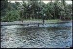 People swimming at the shore