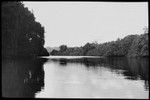 River at Espiritu Santo Island