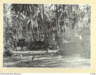 KALAI PLANTATION, NEW BRITAIN. 1945-02-17. A SECTION OF THE AREA OCCUPIED BY THE 19TH INFANTRY BATTALION
