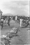 Government-sponsored festival in Tabibuga: pigs and other foods to be distributed, patrol officer John (Jack) Edwards in background