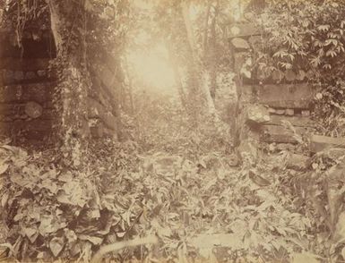 Pohnpei Ruins. From the album: Views in the Pacific Islands