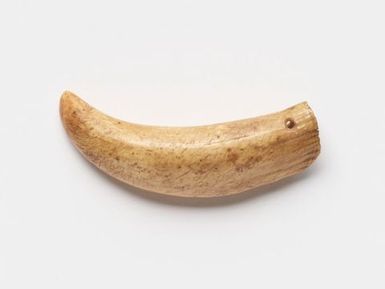 Tabua (Ceremonial whale tooth)