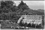 Woman and menstrual hut, with Sinalagu habour below