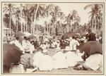 A Native Meeting, Niue