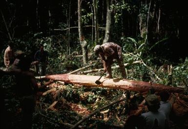 Canoe Making in Niue