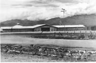 Ninth General Hospital. World War II. New Guinea.