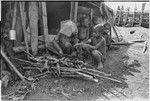 Distribution of wild pig meat: woman cuts pork to share with waiting children