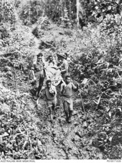 Papua-New Guinea, c. 1943. Native stretcher-bearers (often called fuzzy wuzzy angels) carry a wounded soldier on a stretcher down a muddy jungle track, as they evacuate him from the front. An ..