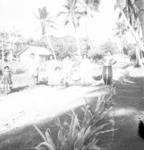 Maidens coming - 'Ailine's 5 daughters and 3 grand-daughters carry copra through Falehau village from 'Aleni's copra dryer. (L to R: Line's child, ?, ?, Salome's child: Lolohea; Manu; Salome's baby; Hala'unga; Finau.) Baby clinic left, R.C. church right.