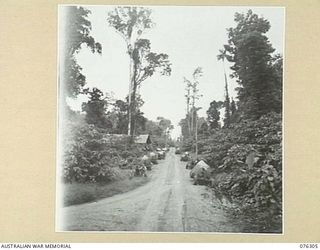 LAE, NEW GUINEA. 1944-09-27. THE MAIN ROAD THROUGH THE 43RD FIELD ORDNANCE DEPOT WITH GUNS PARKED ALONG THE SIDE OF THE ROAD