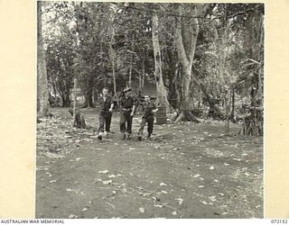 KILIGIA, NEW GUINEA. 1944-04-08. A ROAD AT THE CAMP AREA, HEADQUARTERS 5TH DIVISION. THE OFFICER OF THE ASSISTANT DIRECTOR OF ORDNANCE IS ON THE RIGHT AND THE CAMP COMMANDANT'S OFFICE IS IN THE ..