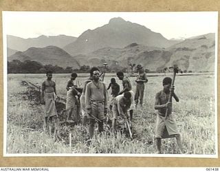 DUMPU, NEW GUINEA. 1943-12-06. WX19503 CORPORAL J. M. SAFE OF THE 18TH AUSTRALIAN ANTI-MALARIAL CONTROL UNIT SUPERVISING A GANG OF NATIVES WHO ARE DIGGING TRENCHES TO DRAIN SWAMPY AREAS WHERE THE ..