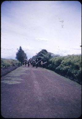 The passing parade on the road past our house, the men are approaching with long sticks : Minj Station, Wahgi Valley, Papua New Guinea, 1954 / Terence and Margaret Spencer