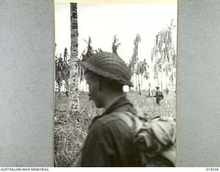 Australian-manned General Stuart M3 Light Tanks bust Japanese pillboxes in the final assault on Buna. Men of D Company, 2/12th Battalion, close in on tank-blasted Japanese positions. In the ..